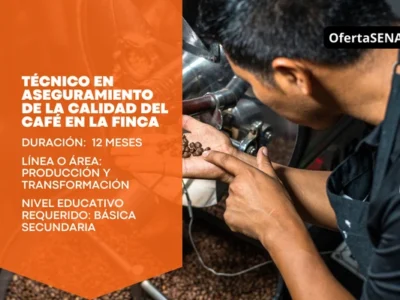 miniatura del curso