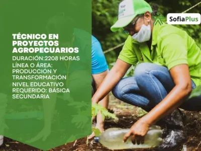 miniatura del curso