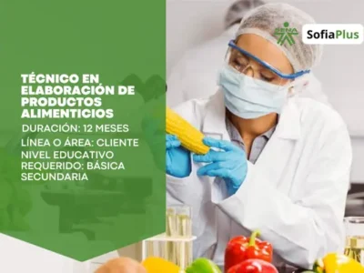 miniatura del curso