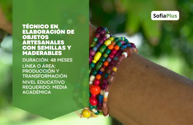 Carrera Técnico en Elaboración de Objetos Artesanales con Semillas y Maderables SENA Betowa