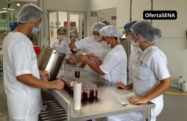 Plan de estudios del Técnico en Agroindustria Alimentaria del SENA Betowa