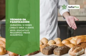 Técnico en Panificación