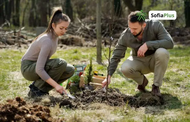 Tecnólogo en Manejo y Aprovechamiento Forestal SENA Betowa